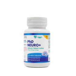 PhD NEURO+
