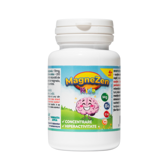 MagneZen Kids
