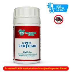 Cerugid - ovule